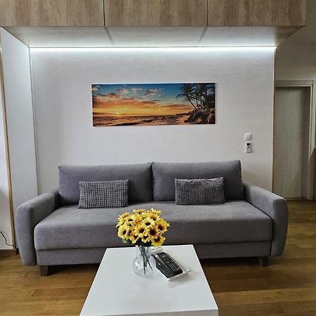 Porodicno-Poslovni Udoban Stan Appartement Belgrado Buitenkant foto