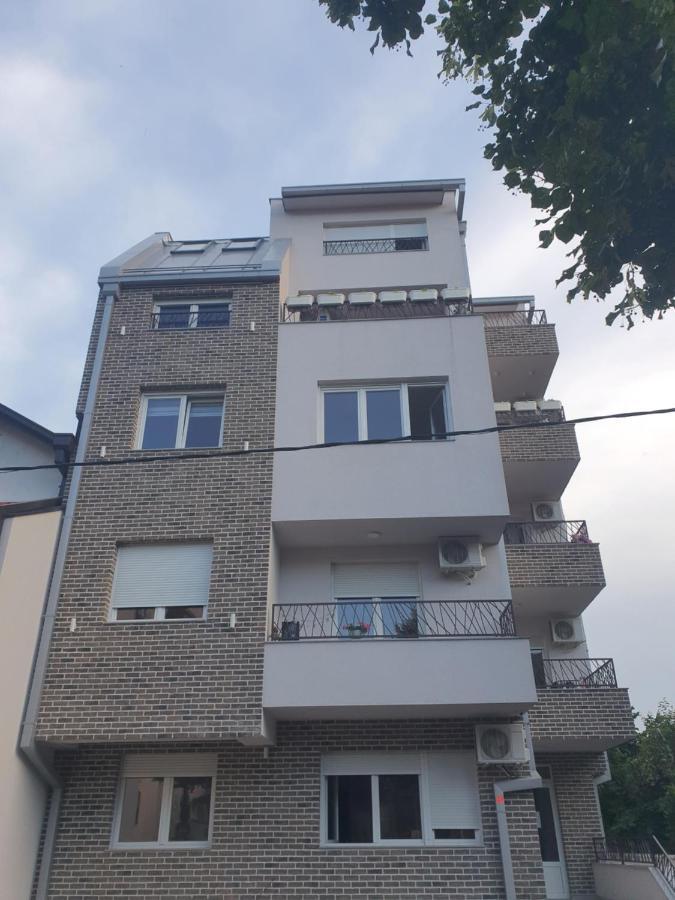 Porodicno-Poslovni Udoban Stan Appartement Belgrado Buitenkant foto