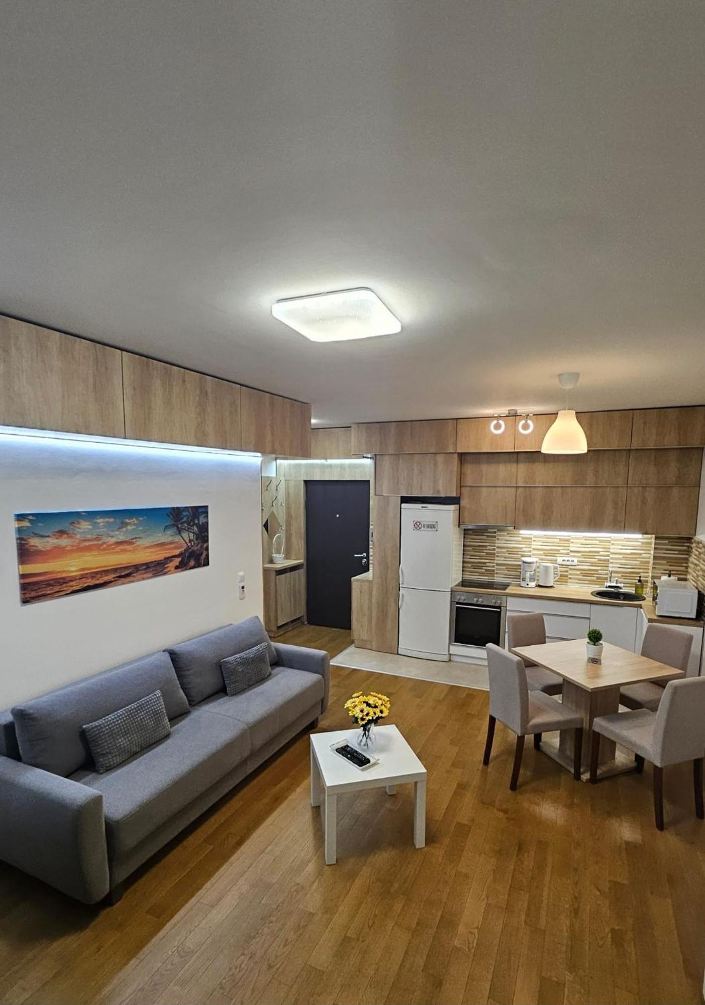 Porodicno-Poslovni Udoban Stan Appartement Belgrado Buitenkant foto